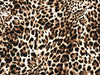 Animal Print